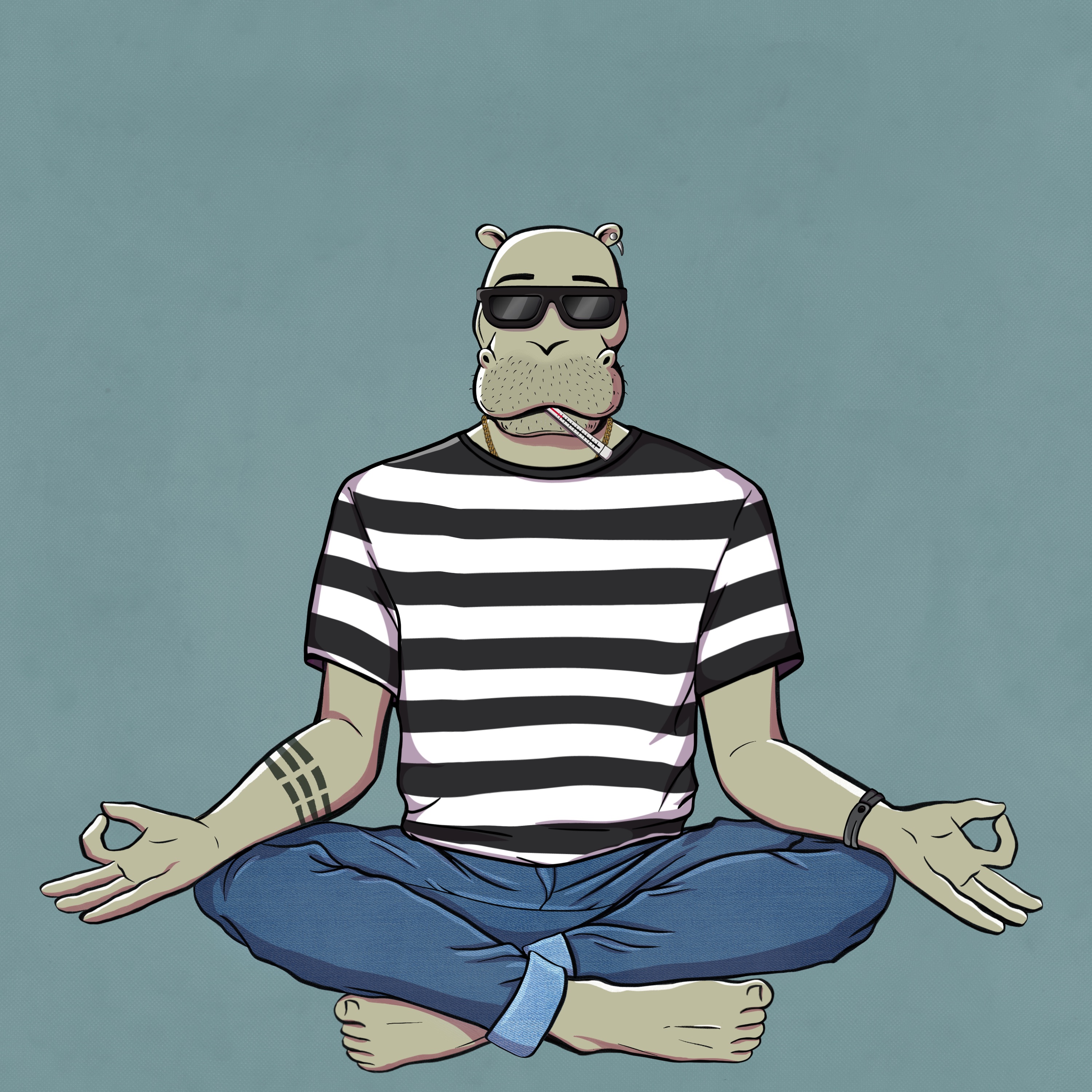 Sober Hippo NFT #05